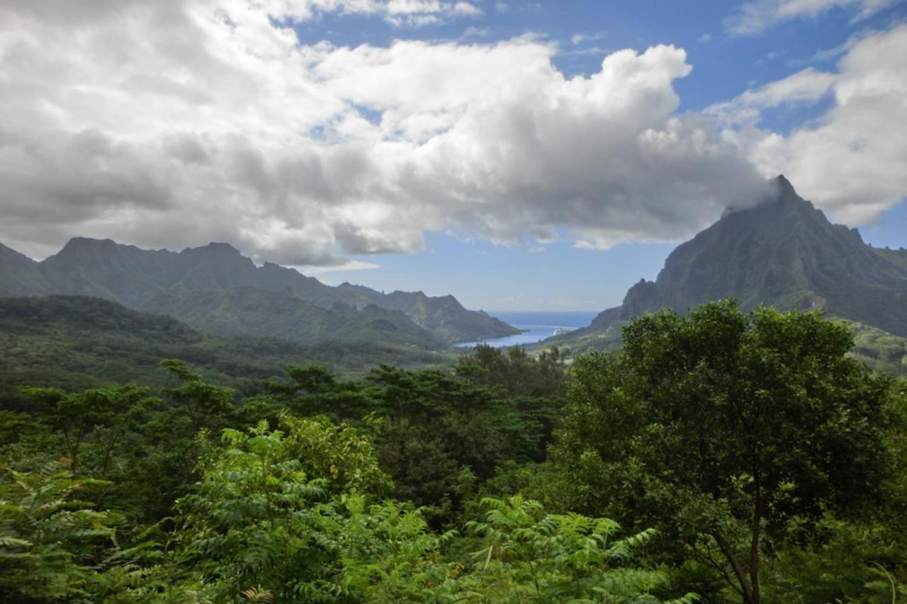 Апартаменти Auti Studio Direct Access To The Beach On Moorea With Ac -Wifi - Netflix Haapiti Екстер'єр фото