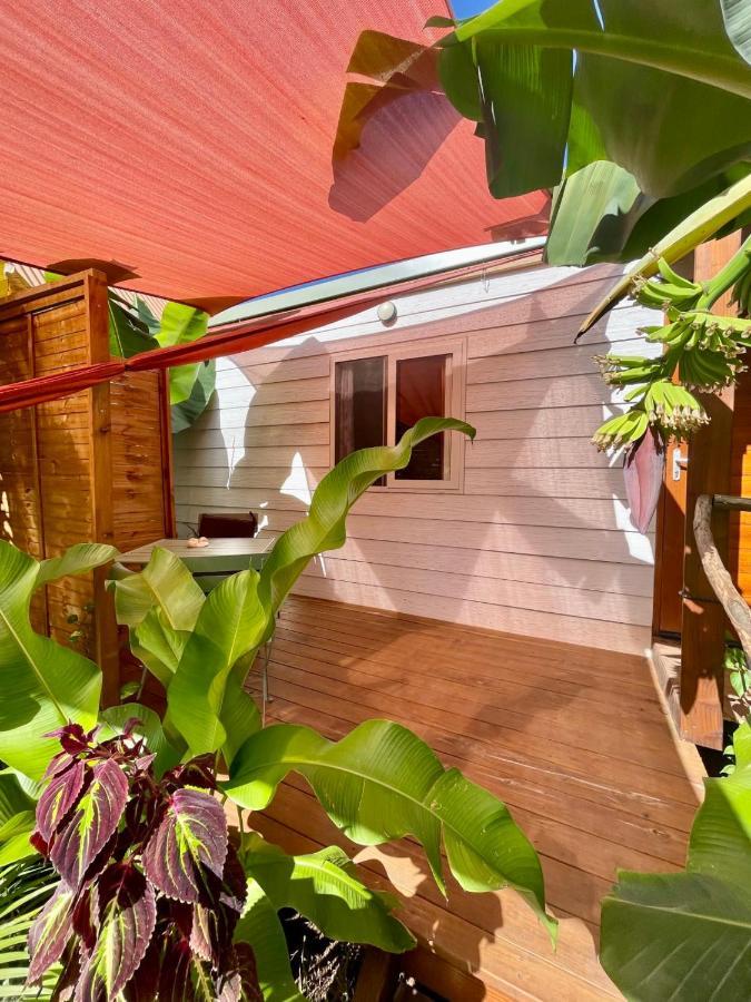 Апартаменти Auti Studio Direct Access To The Beach On Moorea With Ac -Wifi - Netflix Haapiti Екстер'єр фото